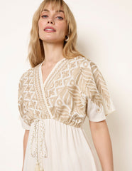 Metallic Embroidered Maxi Dress