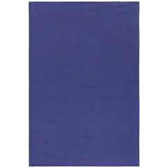 Dusk Apricot Sunray Floursack Dishtowels Set of 3