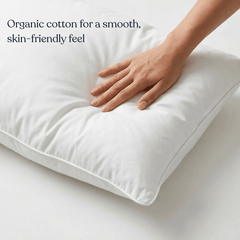 Down Alternative Pillow Inserts - Delara