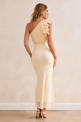 Golden Feelings Mesh Maxi Dress - Ivory
